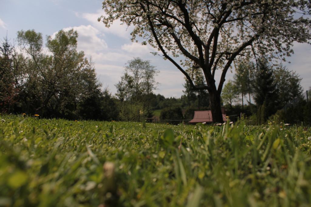 Uroczysko Villa Lesko Exterior foto